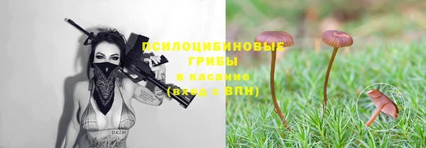 стаф Армянск