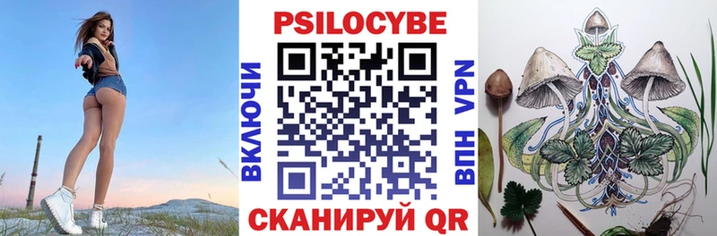 ОМГ ОМГ ТОР Сокол Псилоцибиновые грибы Psilocybine cubensis где купить
